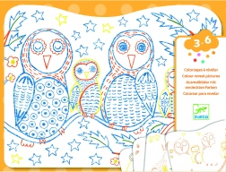 Varázslatos színezés - Bagoly és barátai