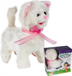 Pórázos, irányítható kiscica