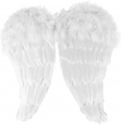 Angyalszárnyak tollakkal