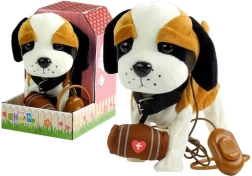 Interaktív bernáthegyi pórázon házzal