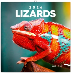 Jegyzetes Naptár Gyíkok 2026