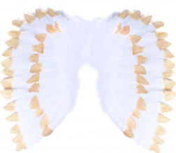 Angyalszárnyak tollal, fehér–arany