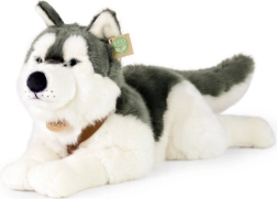 60 cm-es plüss husky kutya nyakörvvel