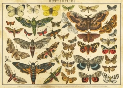 Puzzle Vintage Nature: lepkék 2000 darab
