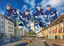 EUROGRAPHICS STRAUBING TIGERS 1000 darabos puzzle