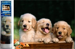 Gyémántmozaik – Három kutya