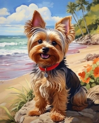 Norimpex Számfestő Yorkshire a tengerparton 40 × 50 cm