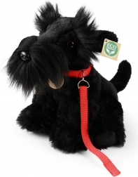 Rappa Plüss Játék Kutya