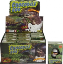 Növekvő krokodilos tojás vízbe