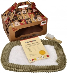 Plüss pomerániai örökbefogadásra