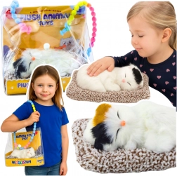 alvó cica puha párnácskán, puha bundácskával és nyávogó hangokkal, hordozható táskában