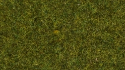 Statikus fű Noch vad rét, 9 mm