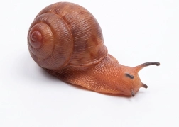 Gumicsiga 13 cm