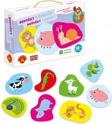 Alexander ismeretterjesztő a legkisebbeknek – színes lapocskák