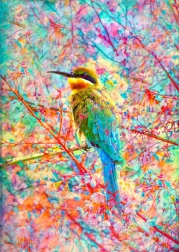 Puzzle Boldog madárka 1000 darab