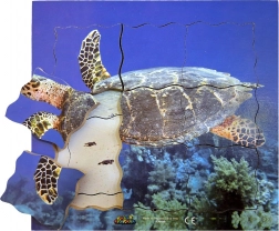 Fa réteges puzzle teknős - 19 darab