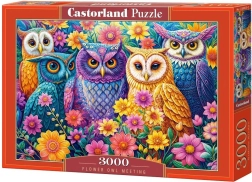 Castorland puzzle Bagolytalálkozó a virágok között 3000 darab