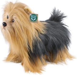 Álló plüss yorkshire terrier, 30 cm, környezetbarát