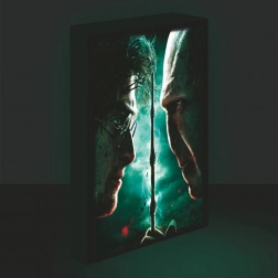 LED világító kép 30x40, Harry Potter - Harry vs. Voldemort