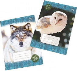 Iskolai füzet A5 sima, 20 lap