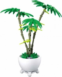 Sluban virág cserépben – zöld pálma