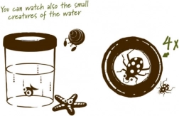 Navir Explora nagy pohár rovarmegfigyeléshez