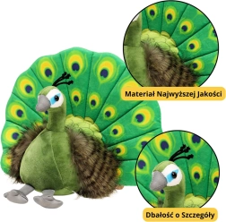 Plüssjáték Elegáns Zöld Páva 30 cm