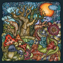 Négyszögletes CURIOSI Palapeli puzzle: Csodálatos erdő, 210 darab