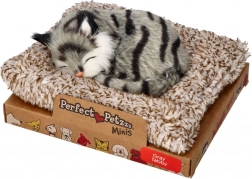 Perfect Petzzz kicsi szürke cirmos kandúrka