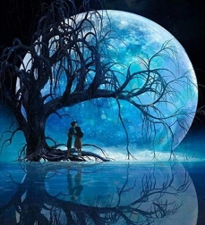 Gyémánt Festés Hold a tó felett 30x40cm