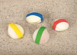 Varázslatos Goki kagyló