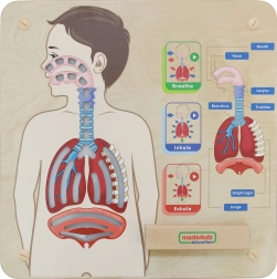 Masterkidz Lélegzés oktató fa tábla