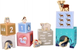 Piramis a legkisebbeknek – sarkvidéki állatok