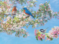 Puzzle Virágfesztivál XL 275 darab Cobble Hill-tól