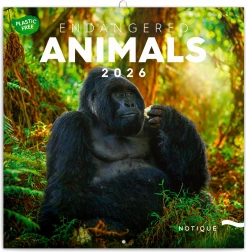 Jegyzetfüzet naptár Veszélyeztetett fajok 2026