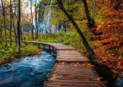 RAVENSBURGER Puzzle Titokzatos erdő 1000 darab