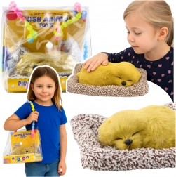 Alvó labrador párnácskán, puha bundával és hangokkal