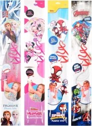 Drak Ready2Fly – gyerek repülő sárkány