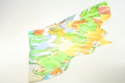 Sárkánymintás repülősárkány