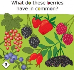 Yummy! oktatójáték az egészséges táplálkozásról 3 éves kortól