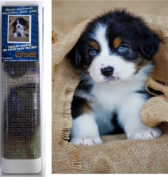 gyémántfestés bernáthegyi pásztorkutya kölyök 30 × 40 cm