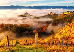 Enjoy puzzle A szőlőhegyen 1000 darab