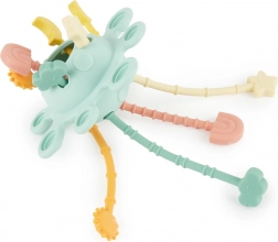 Szilikon motorikus aktivitásjáték – Eukaliptusz