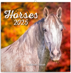 Jegyzetelős falinaptár Lovak 2025 Christiane Slawik fotóival 30 × 30 cm