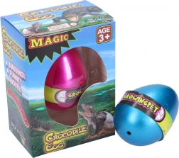 Növekvő krokodiltojás 6,5 cm