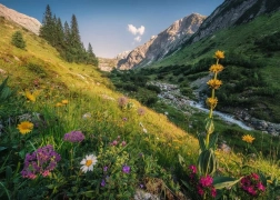 Puzzle Varázslatos Lejtő 1000 darab