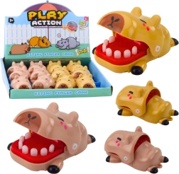 Harapós kapibara – mini fogorvos játék