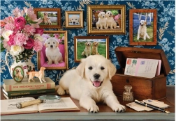 Labrador Puzzle 500 darabos