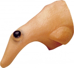 Boszorkány orr szemölccsel