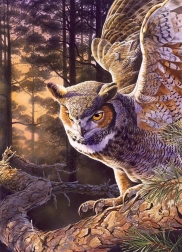 Puzzle Esti Vadász 1000 darab